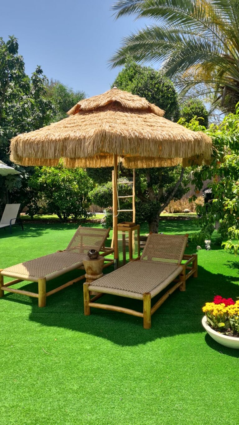 WhatsApp Image 2025-12-14 at 16.25